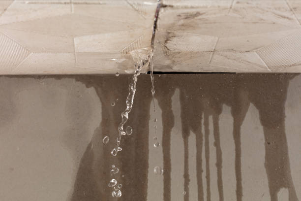 Professional Water Extraction technician working in Victor, CO